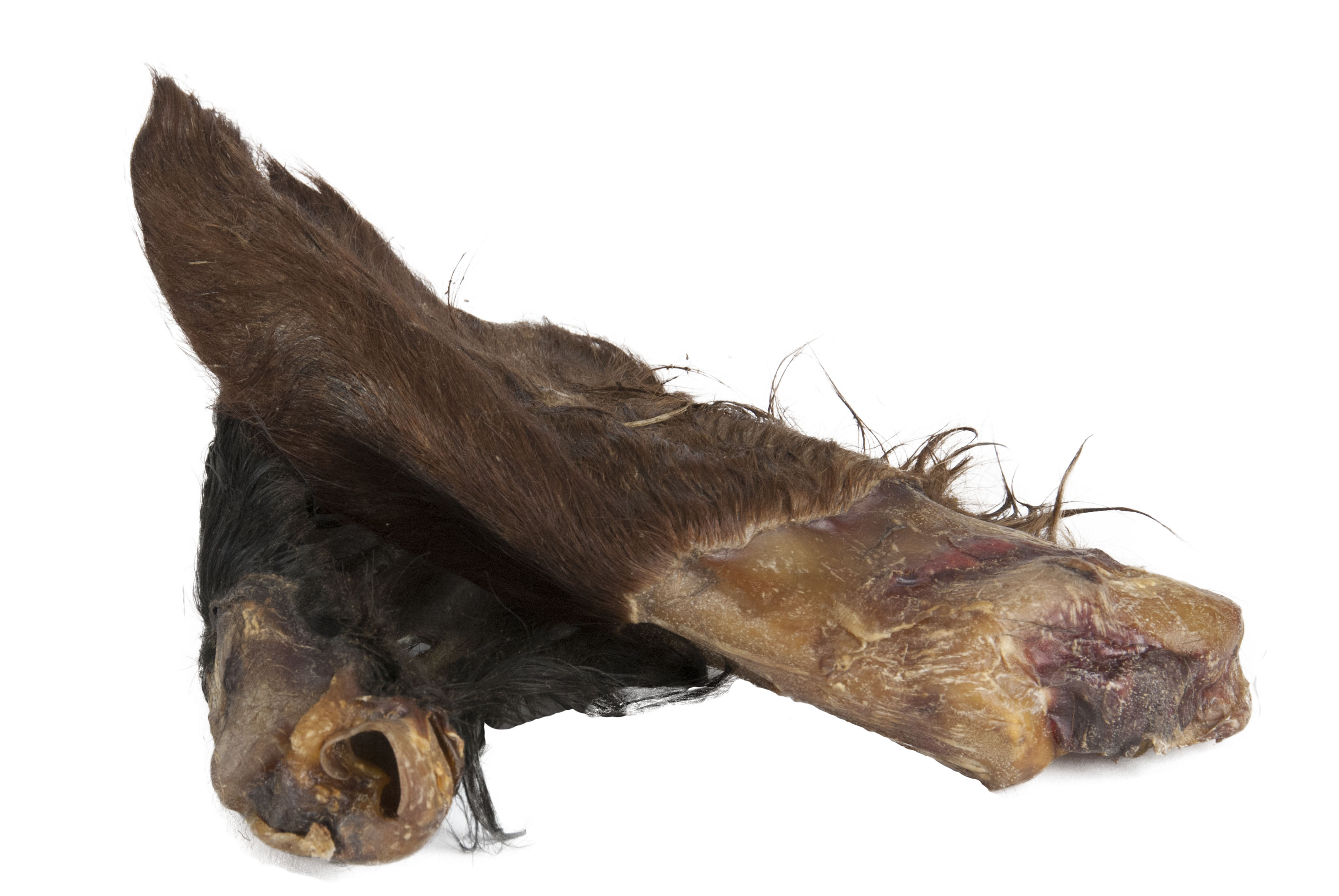 Rinderohren mit Fell