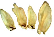 Ziegenohren, 100g