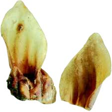 Rinderohren mit Muschel, lose