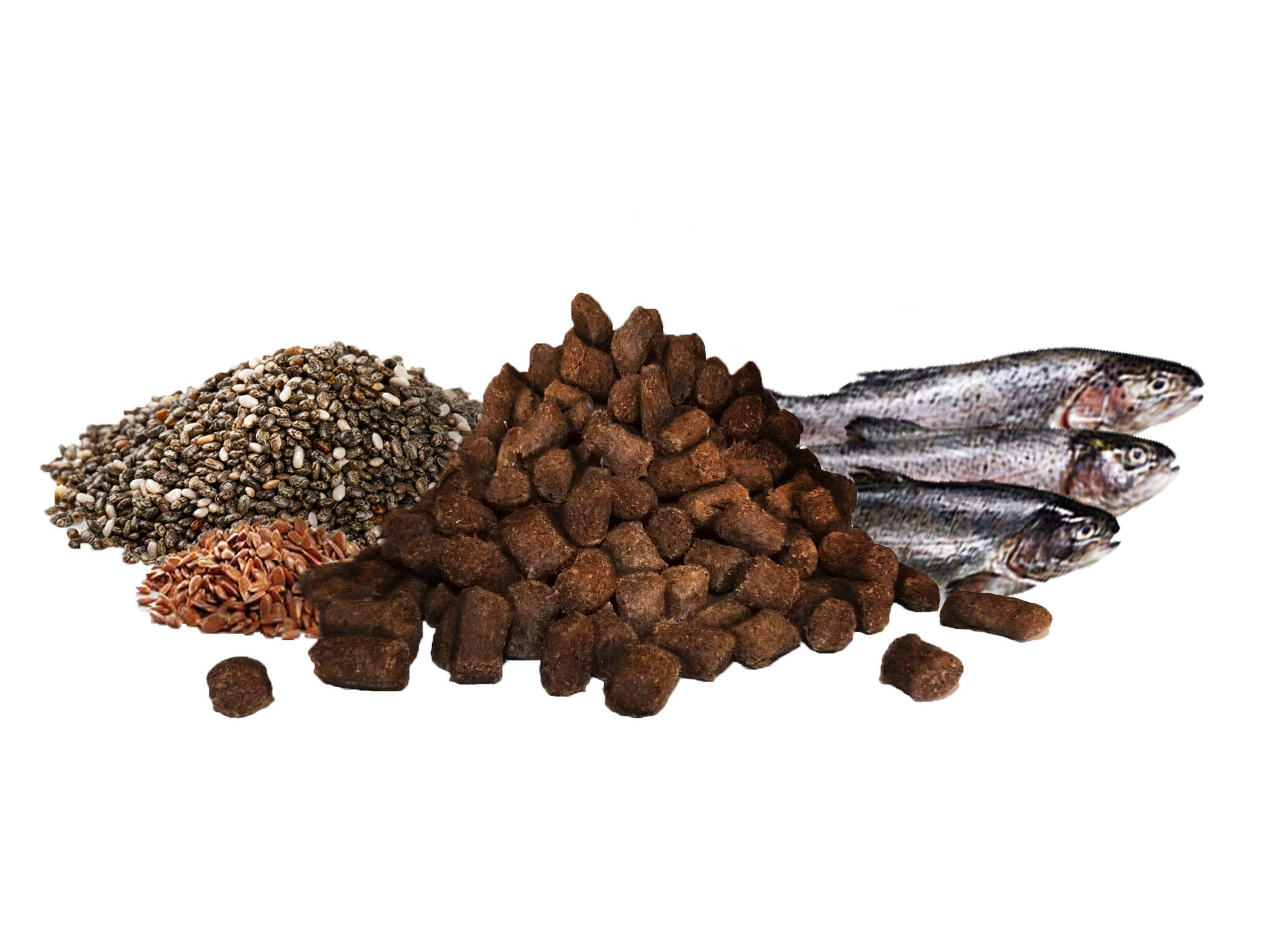 Trainee's GF Fisch mit Ölsaaten