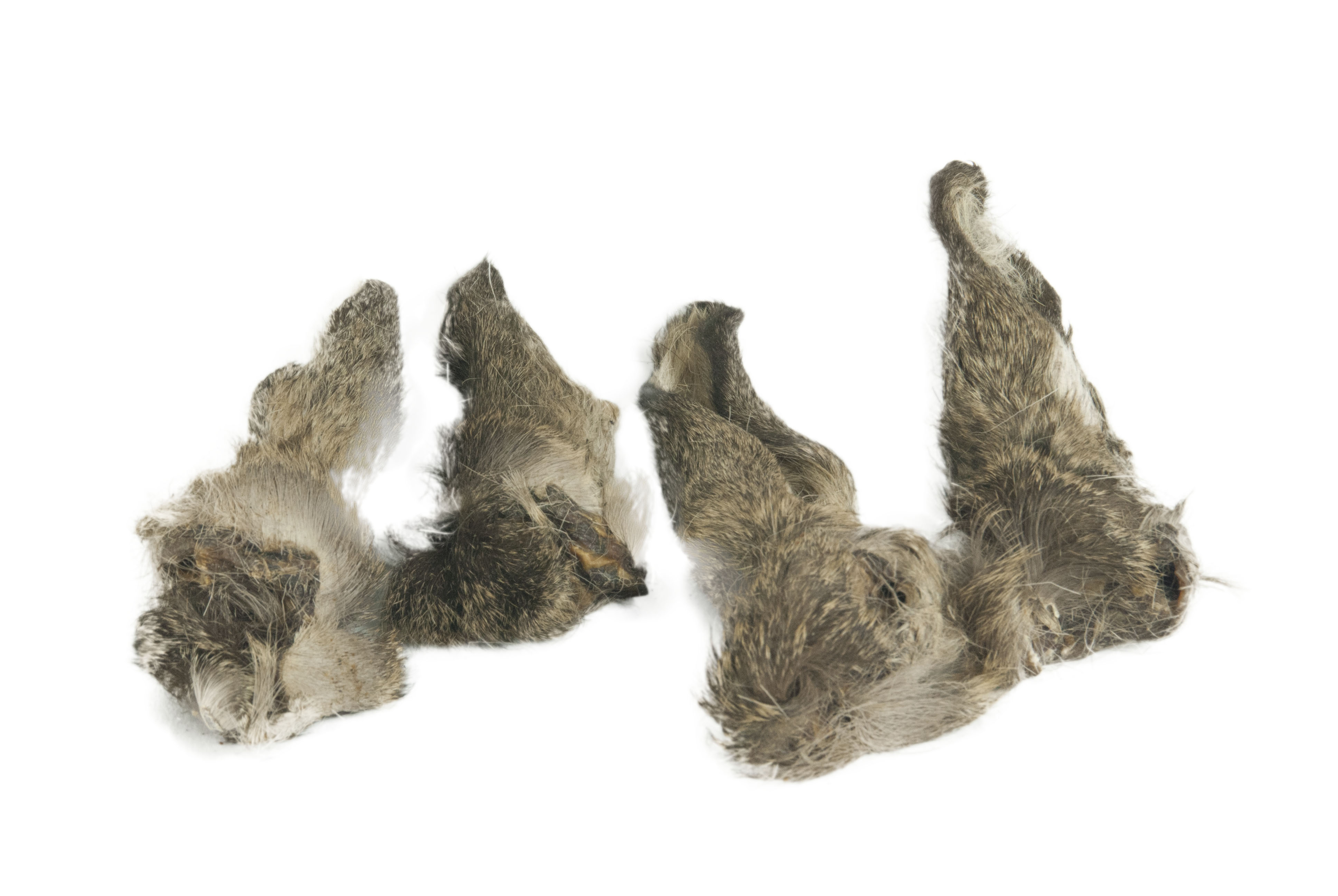 Rehohren mit Fell (4 Stück/Beutel)