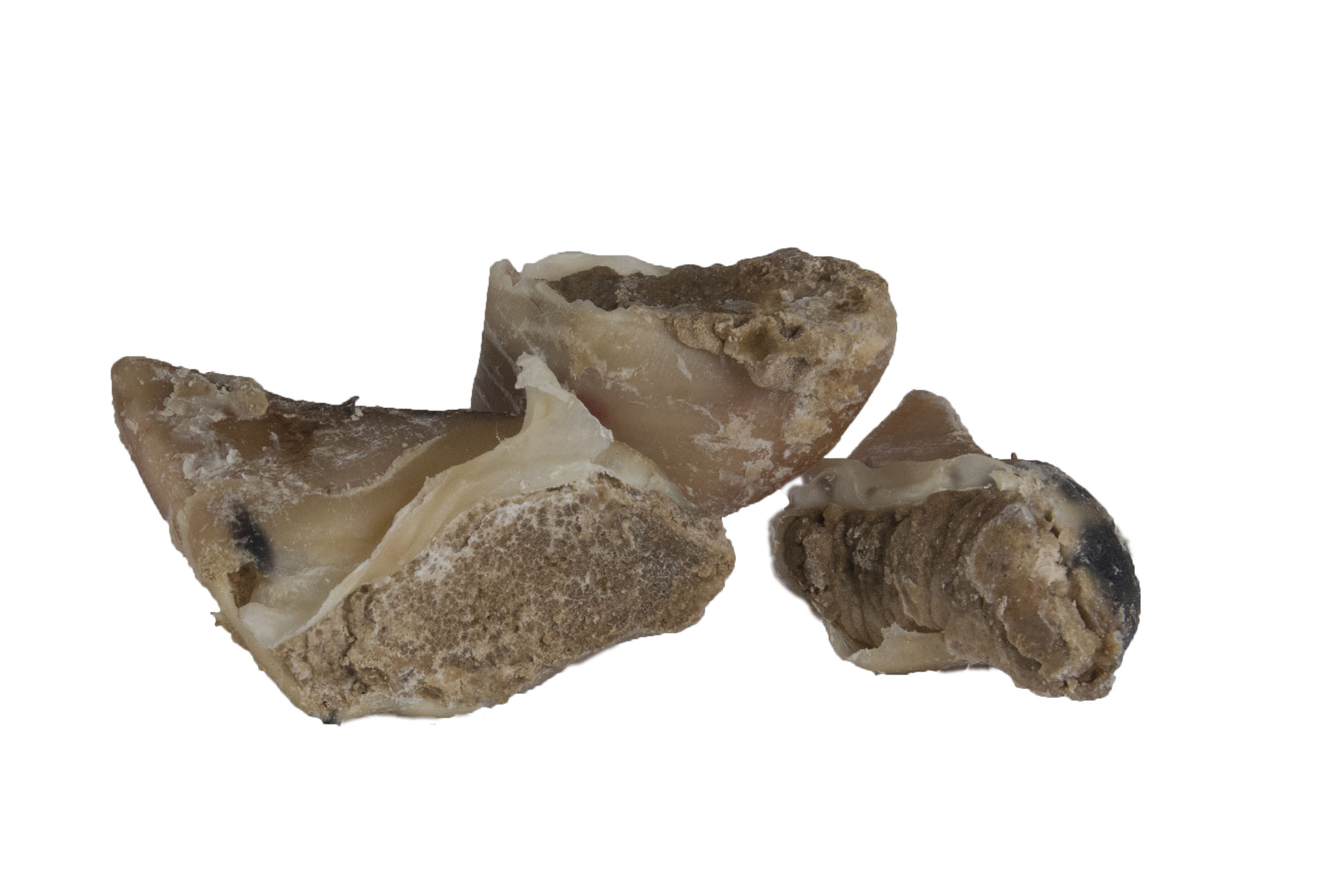 Rinderhufe, gefüllt mit Paté