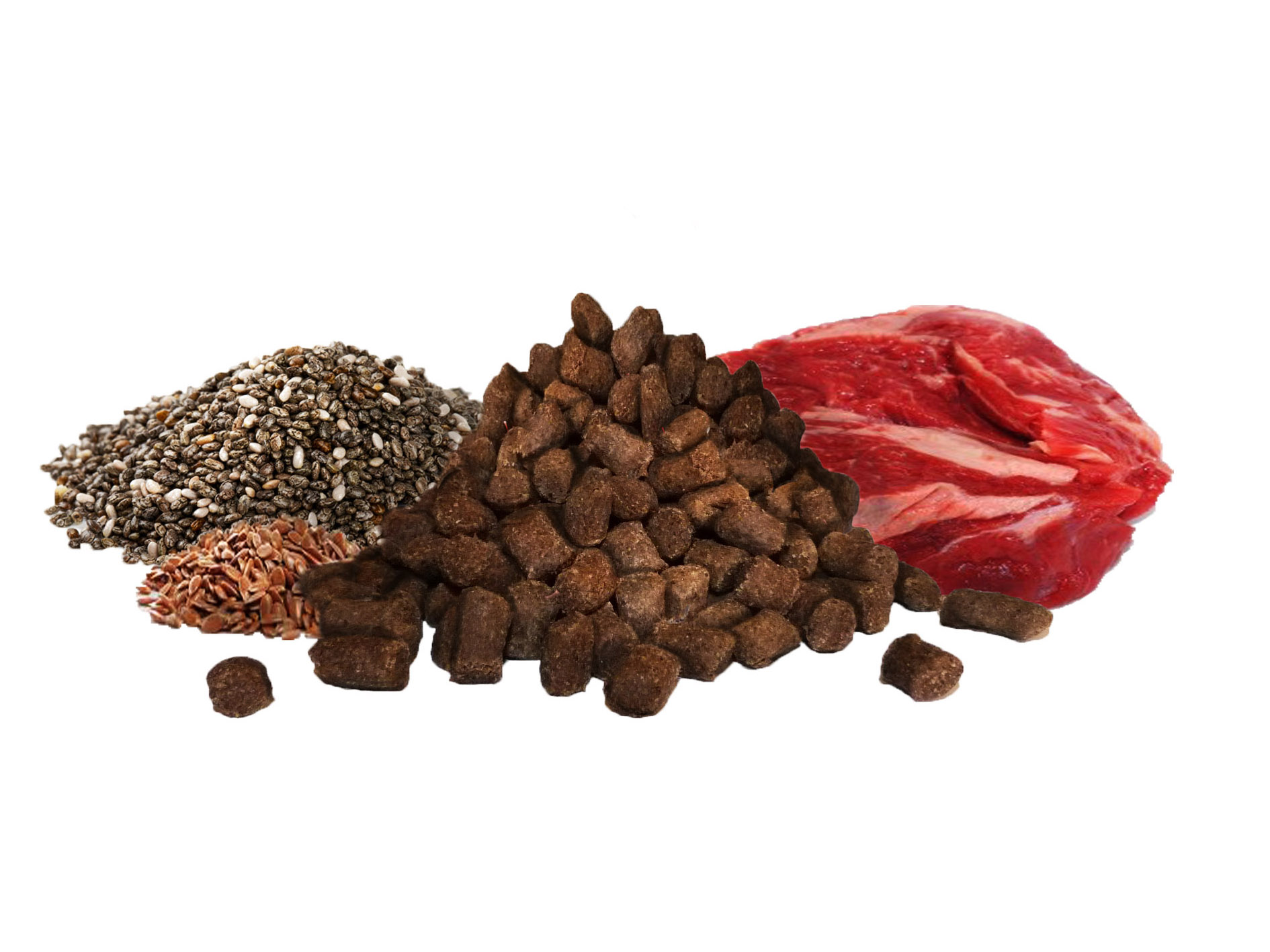 Trainee's GF Rind mit Ölsaaten